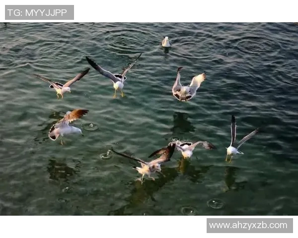 阿塞拜疆与法罗群岛的足球对决精彩回顾与分析